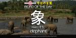 The Japanese Page Word of The Day - Elephant