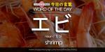 The Japanese Page Word of The Day - Shrimp