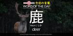 The Japanese Page Word of The Day - Deer