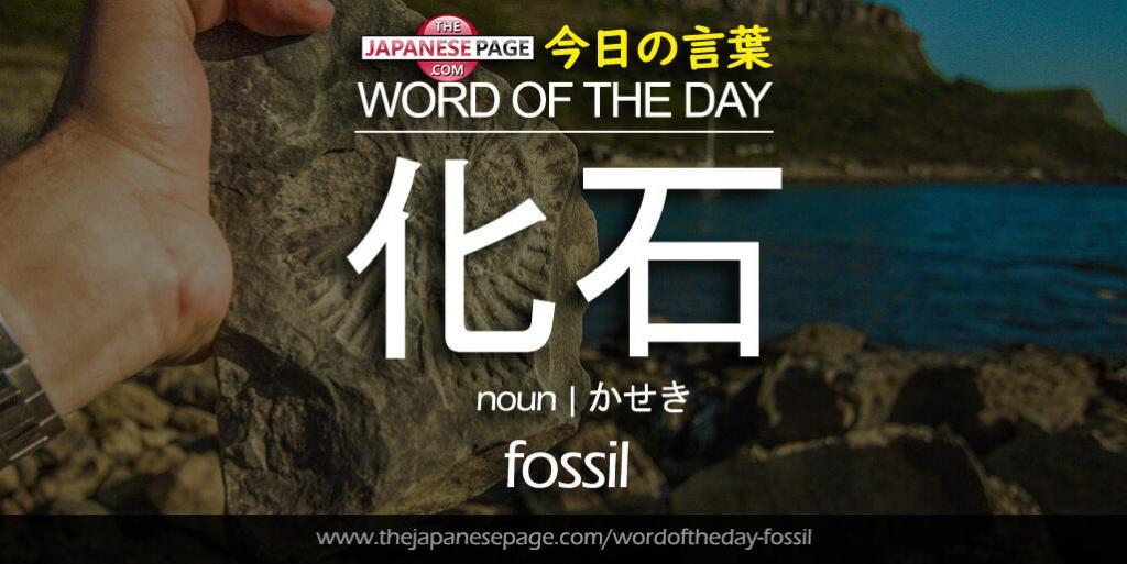 The Japanese Page Word of The Day - Fossil