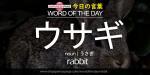 The Japanese Page Word of The Day - Rabbit