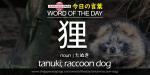 The Japanese Page Word of The Day - Tanuki, Racoon Dog