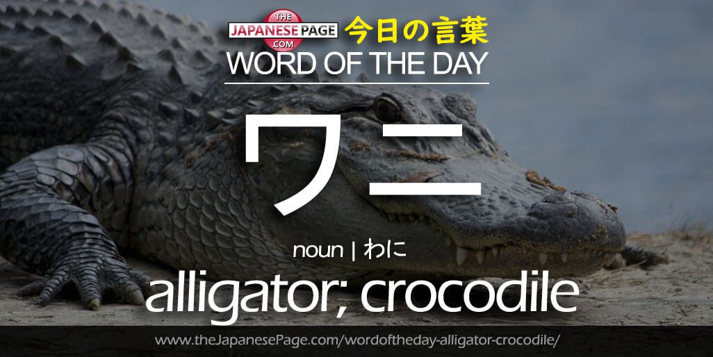 The Japanese Page Word of The Day - Alligator-Crocodile