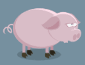 buta_pig
