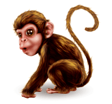 monkey