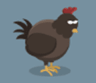 niwatori_chicken