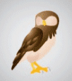 owl