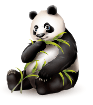 panda