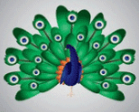peacock
