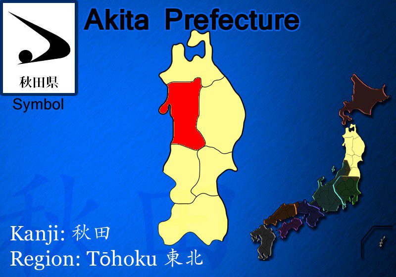 akita