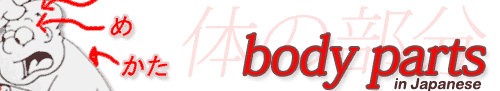bodyparts_logo