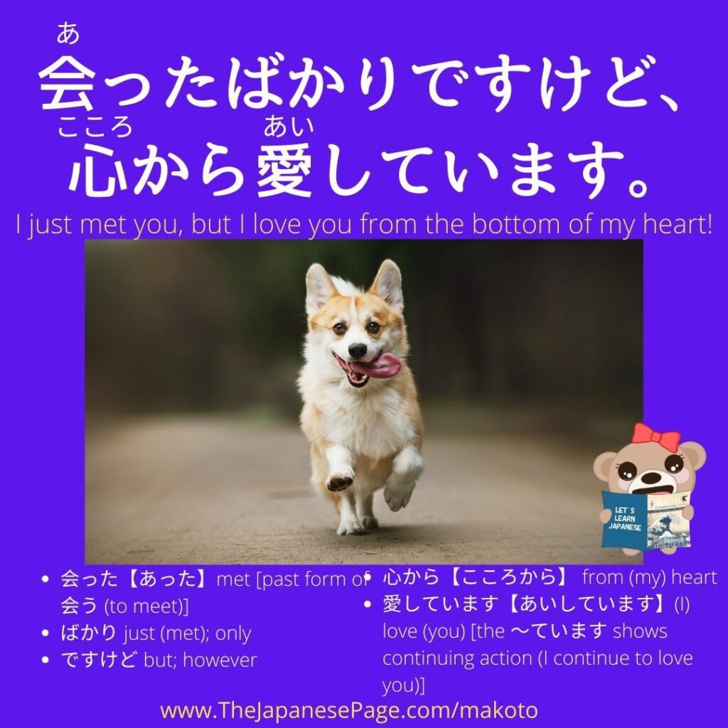 145493347_262510521925638_2592954266753212745_n_17875121810183264