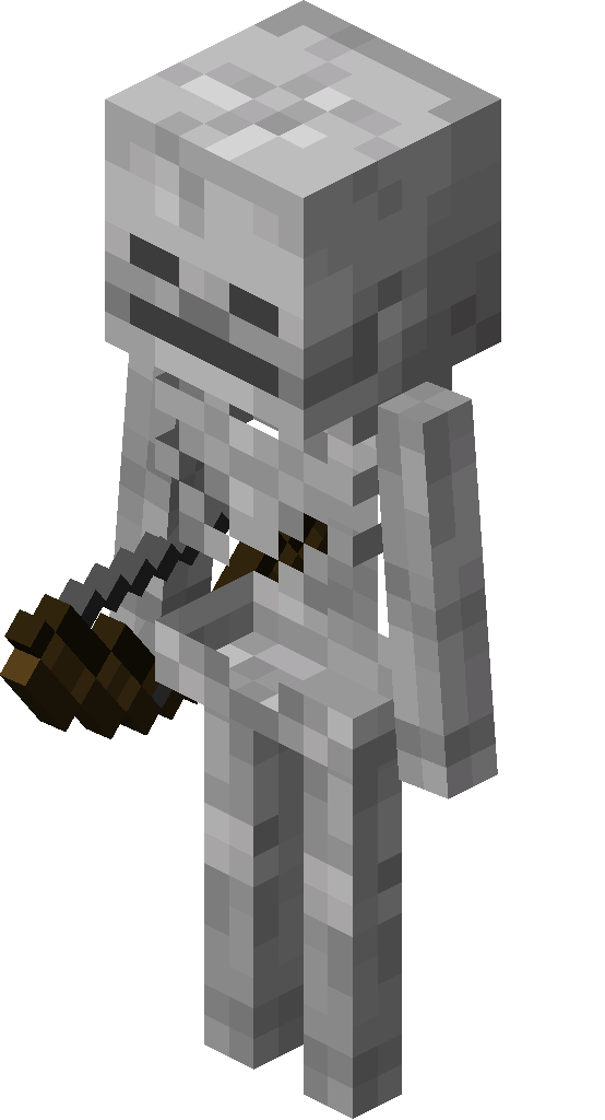 Skeleton_JE6_BE4