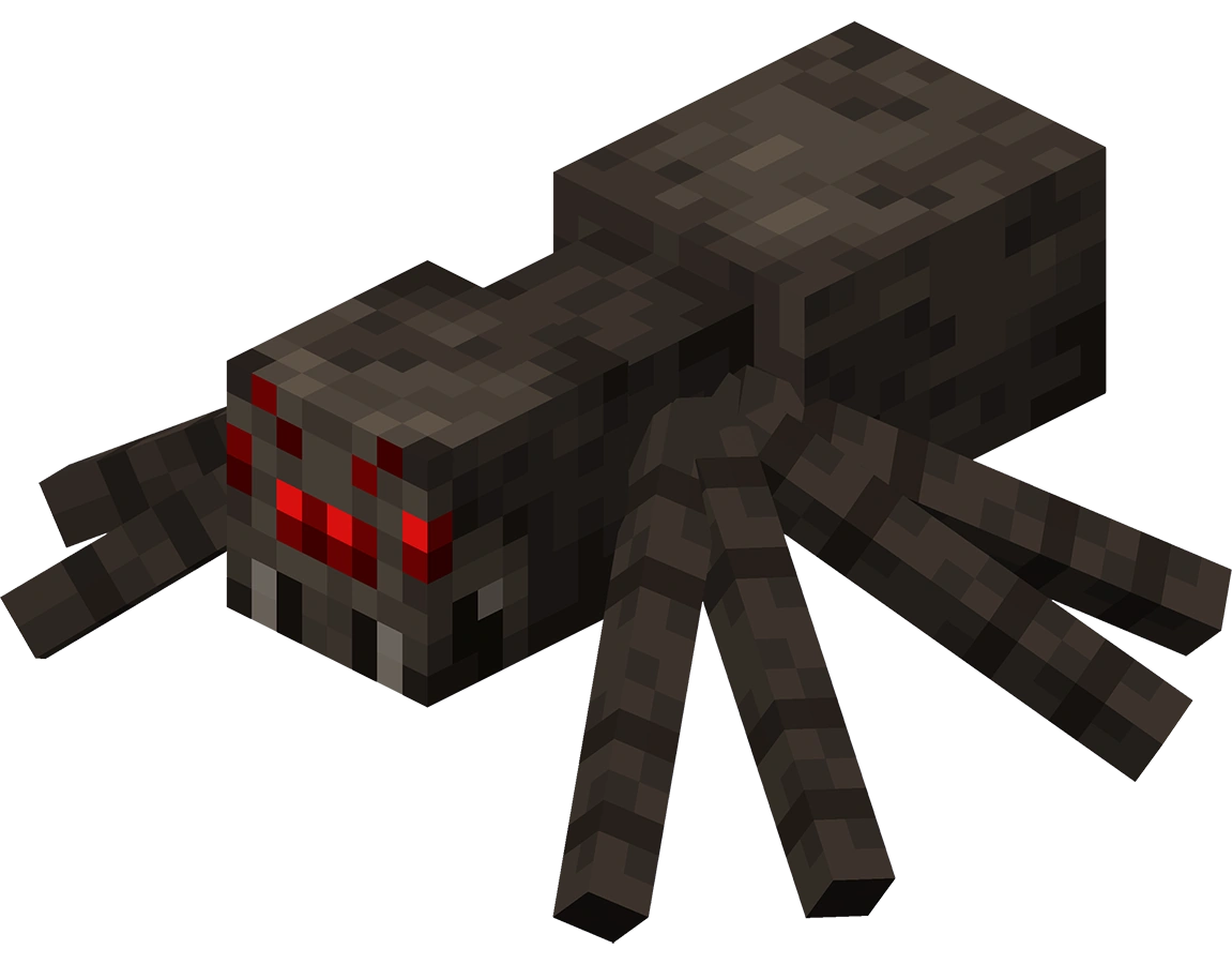 Spider_JE4_BE3
